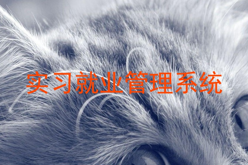 实习就业管理系统