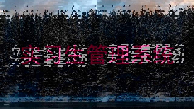 实习生管理系统