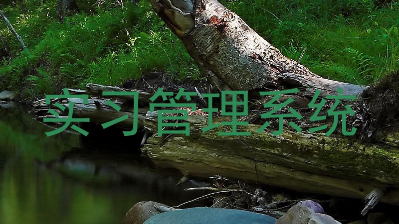 实习管理系统