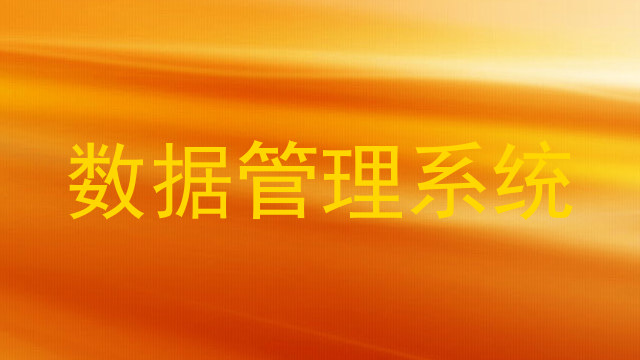 数据管理系统