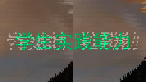 学生实践能力