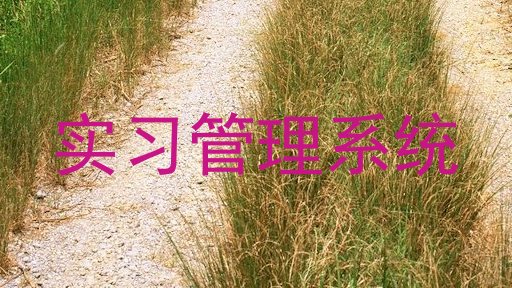 实习管理系统