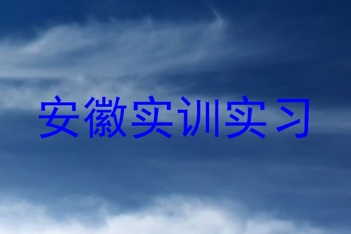 安徽实训实习