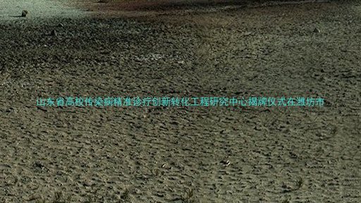 山东省高校传染病精准诊疗创新转化工程研究中心揭牌仪式在潍坊市