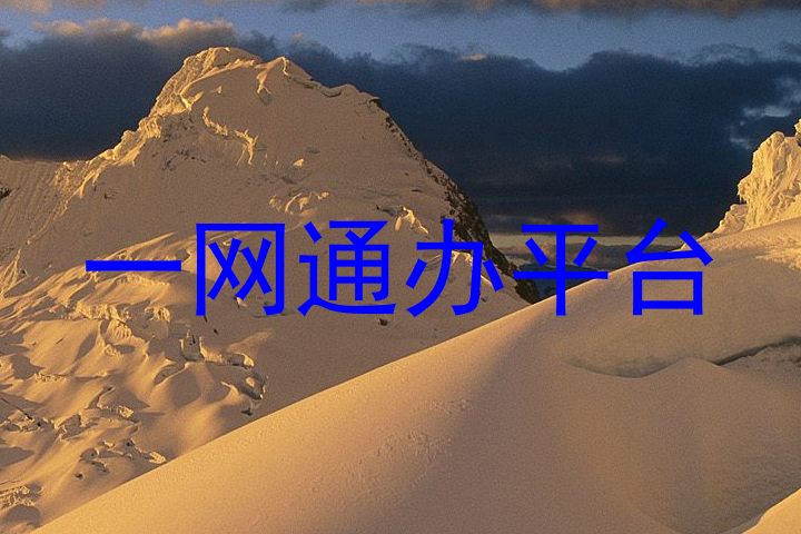 一网通办平台