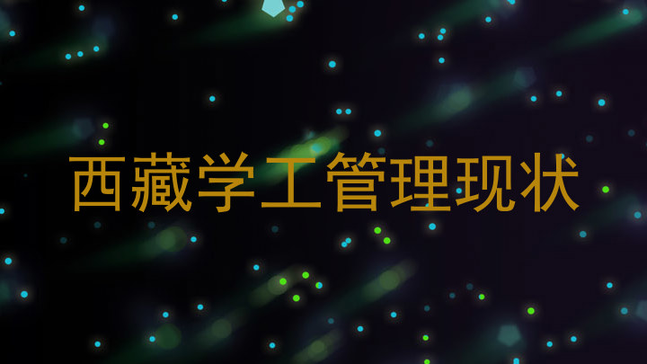 西藏学工管理现状
