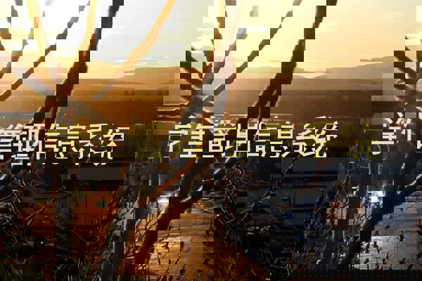 学生管理信息系统