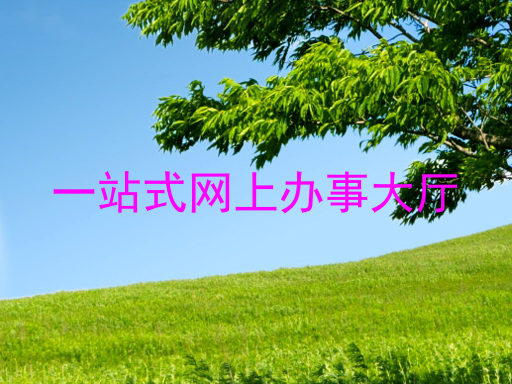 一站式网上办事大厅