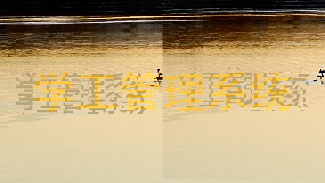学工管理系统