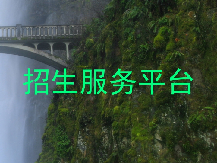 招生服务平台