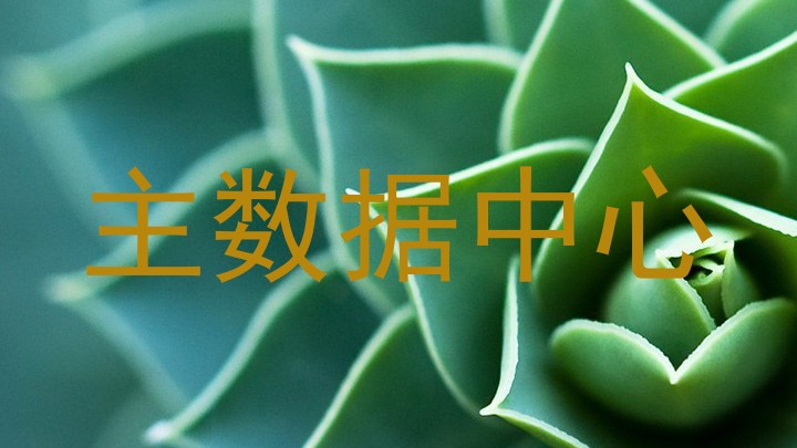 主数据中心
