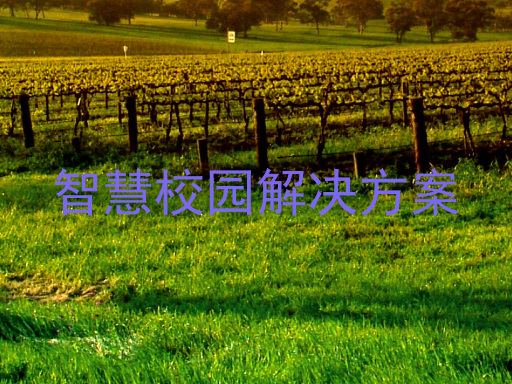 智慧校园解决方案