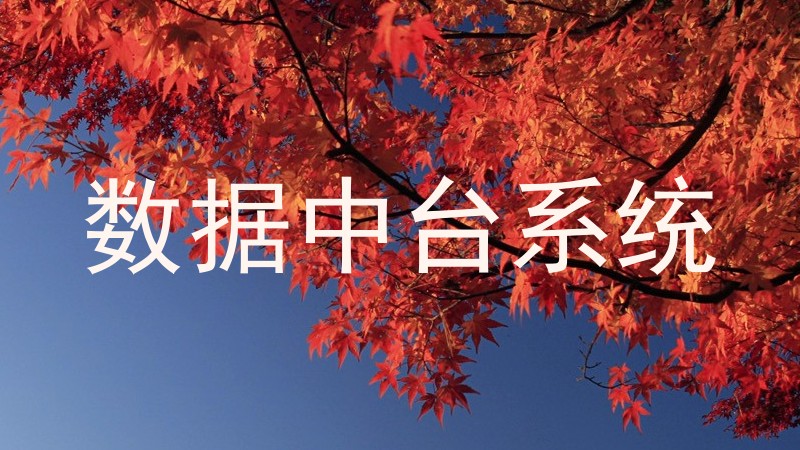 数据中台系统