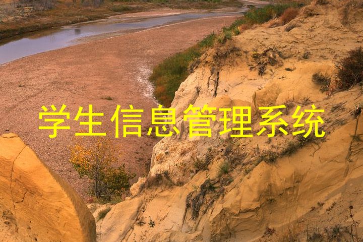 学生信息管理系统