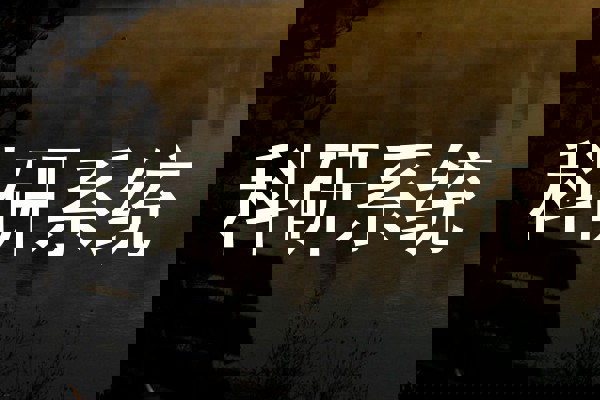 科研系统