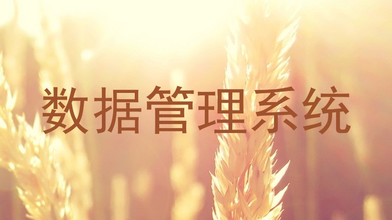 数据管理系统