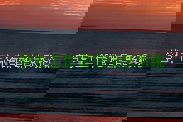 学生工作管理信息系统