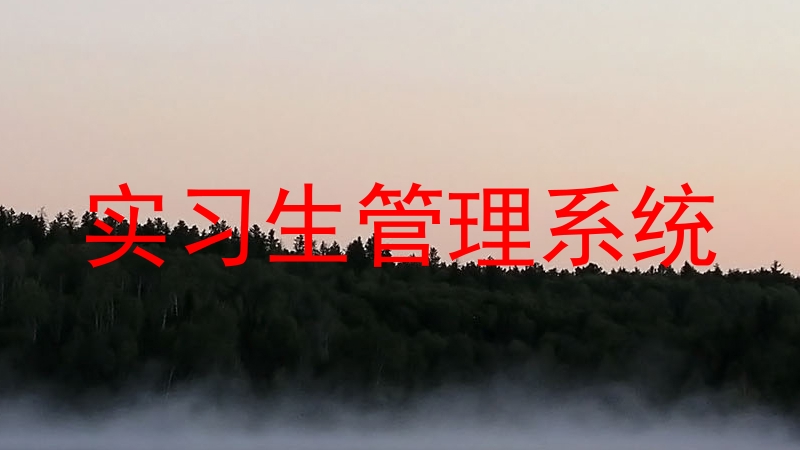 实习生管理系统