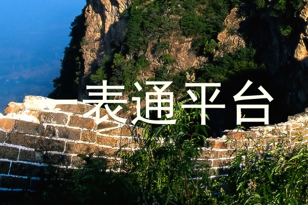 一表通平台