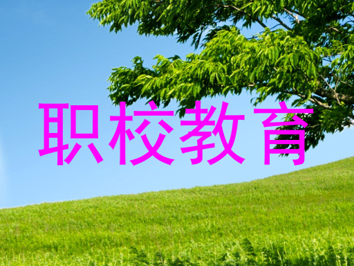 职校教育