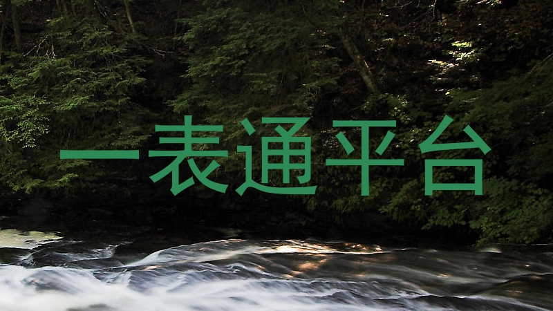 一表通平台