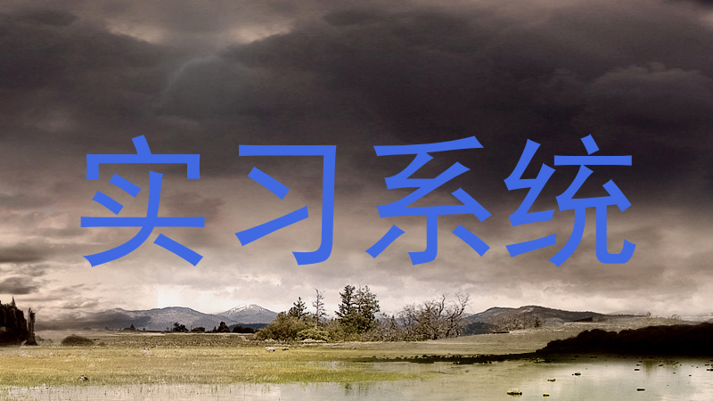 实习系统