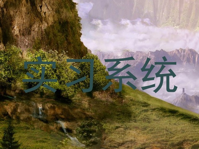 实习系统