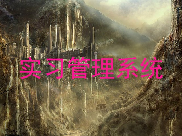 实习管理系统