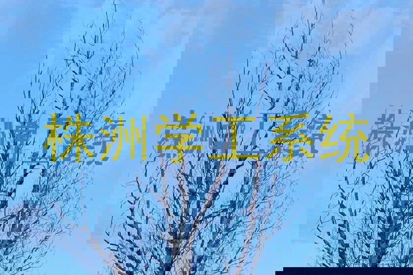 株洲学工系统