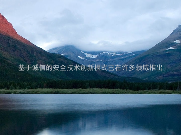基于诚信的安全技术创新模式已在许多领域推出