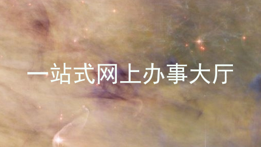 一站式网上办事大厅