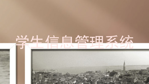 学生信息管理系统