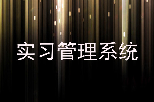 实习管理系统