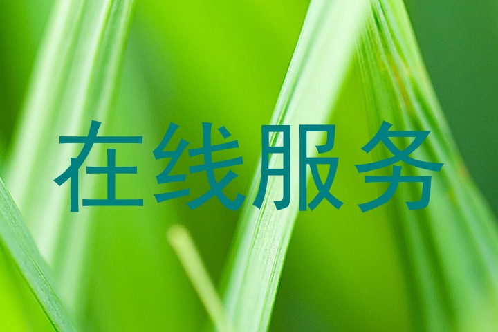 在线服务