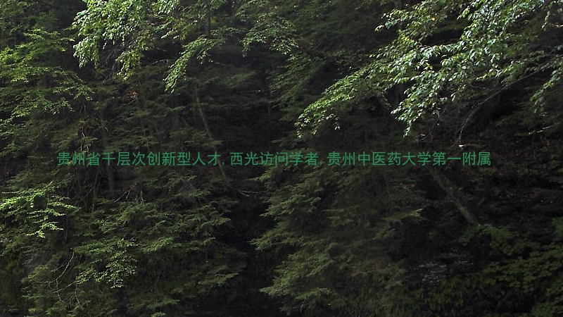 贵州省千层次创新型人才,西光访问学者,贵州中医药大学第一附属