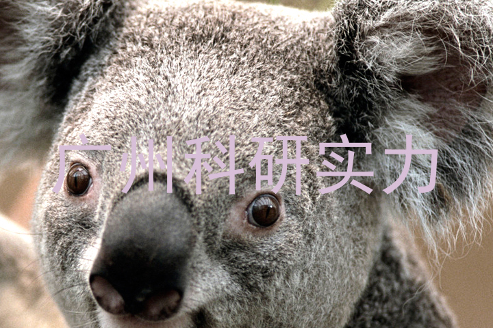广州科研实力