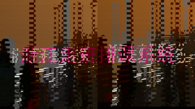 浙江走班排课系统