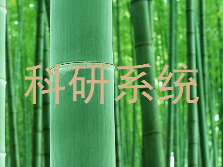 科研系统