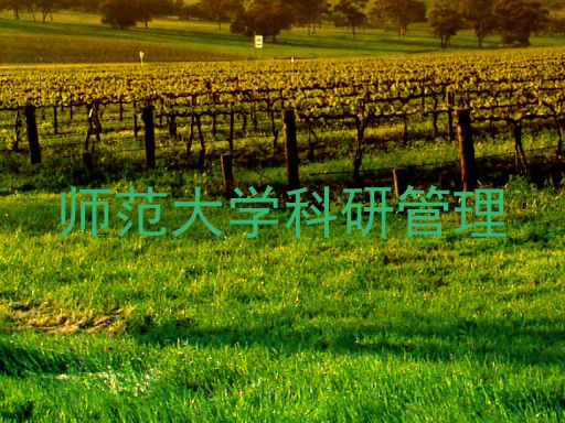 师范大学科研管理