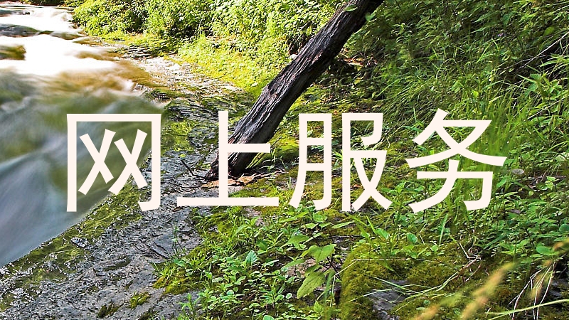 网上服务