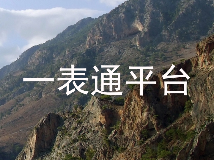 一表通平台