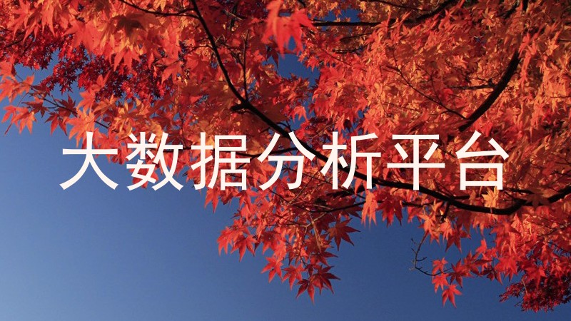 大数据分析平台