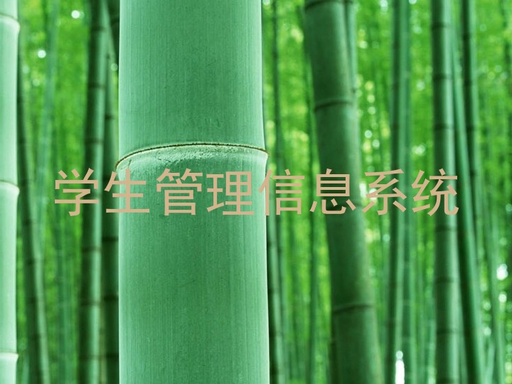 学生管理信息系统
