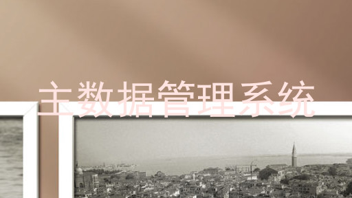 主数据管理系统