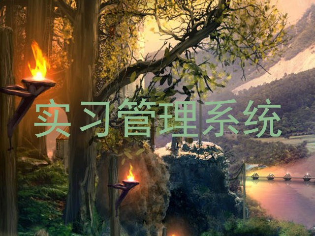 实习管理系统