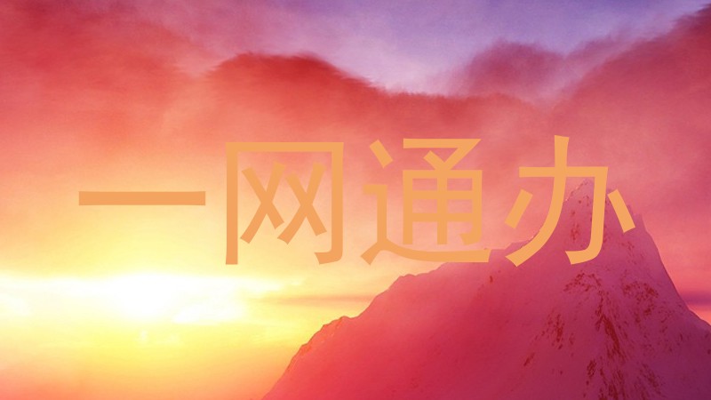 一网通办