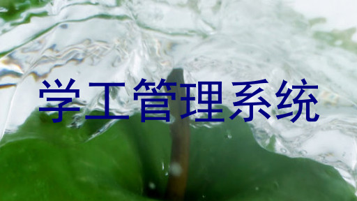 学工管理系统