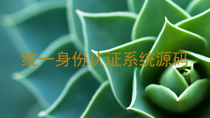统一身份认证系统源码