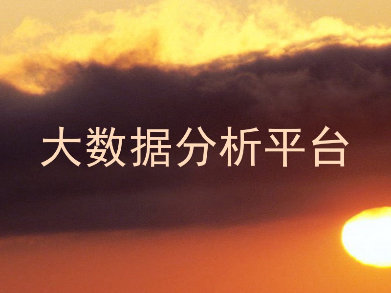 大数据分析平台