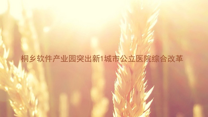 桐乡软件产业园突出新1城市公立医院综合改革